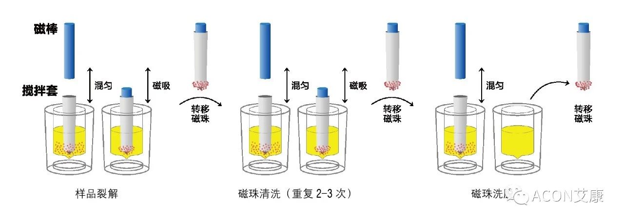 Promotor?核酸提純儀， 讓基因提純更便捷。