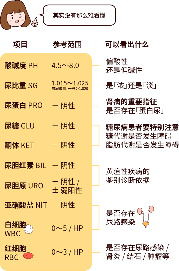排尿黃、異味大，可能是身體在報警！