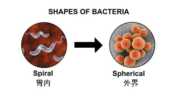 這種致癌物傳染性極強，50%中國人都有！很多人還不知道